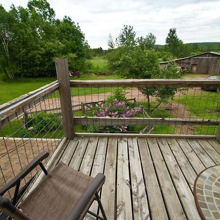White Horse Stable Apartment Bayfield Bagian luar foto