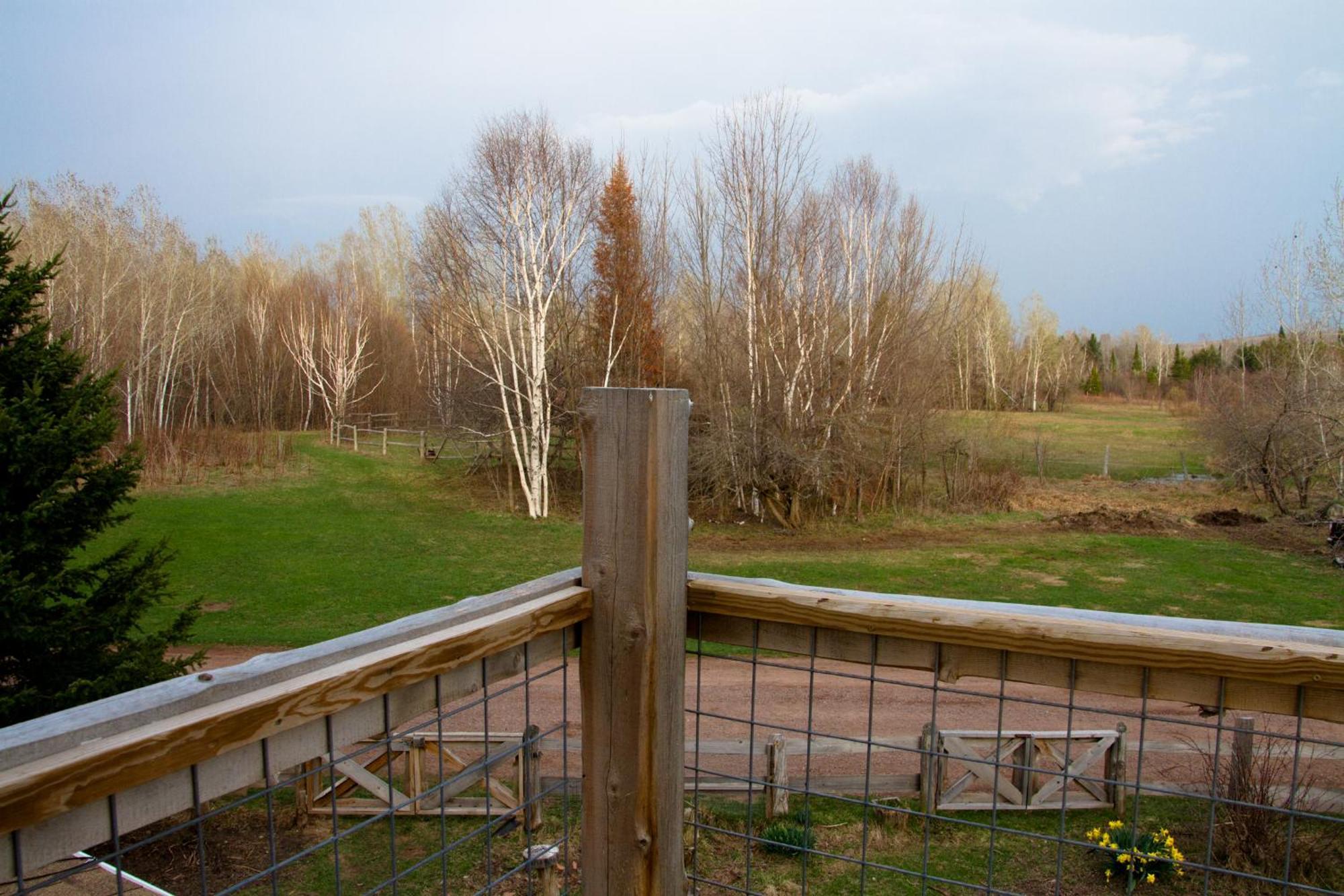 White Horse Stable Apartment Bayfield Bagian luar foto